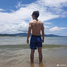 陈势安