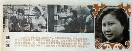 陆小雅