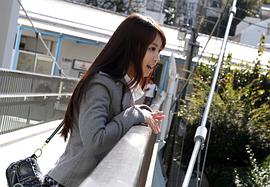 彩音遥菜