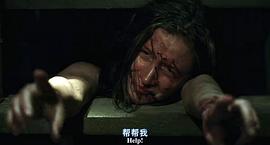 安德莉亚·谢尔顿