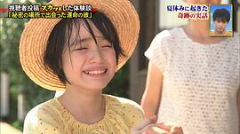 丰岛花