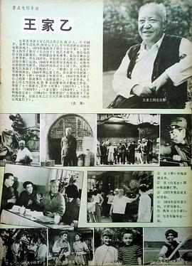 王家乙