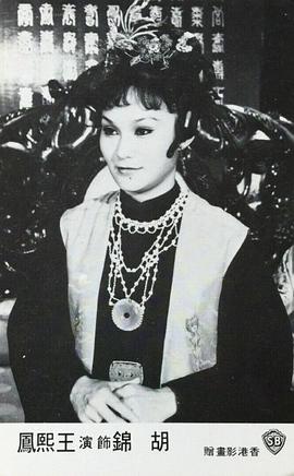 胡锦