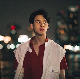 皮拉维奇·普洛伊南彭