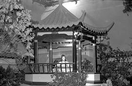 马海伦