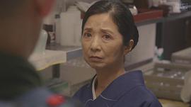 宫崎美子