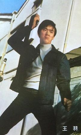 王羽