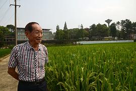 袁隆平