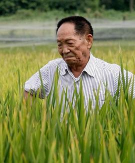 袁隆平