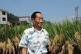 袁隆平