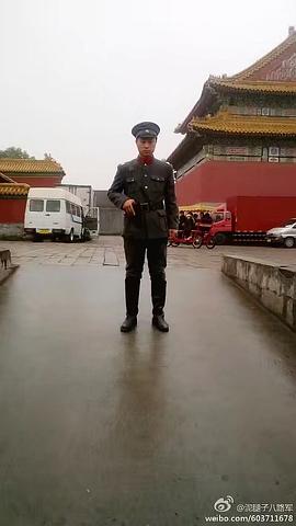 金延虎