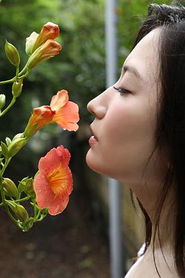 清水枫