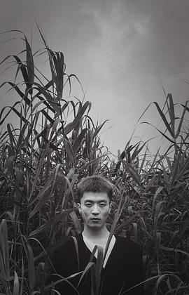 蒋鸿宇