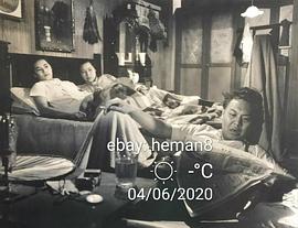 罗维