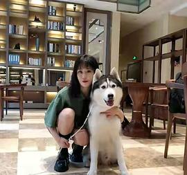 王艺鑫