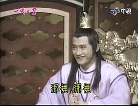 丁华宠