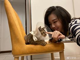 李君婕