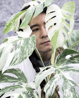 阿卡那·凌米查