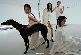 赵佳丽