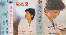 董文华
