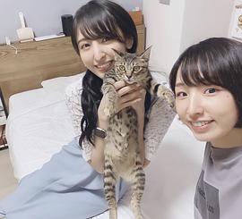 洲崎绫