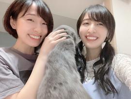 洲崎绫