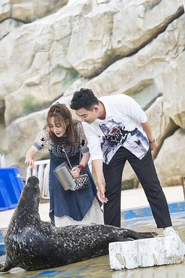 薛佳凝
