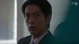 中林大树