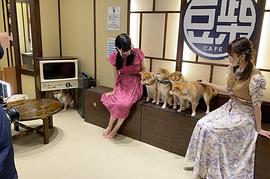大西亚玖璃