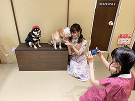 大西亚玖璃