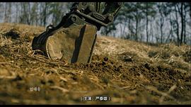 严泰雄