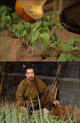 孙彦军