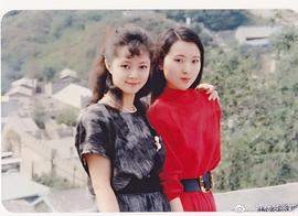 陈晓旭