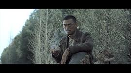 樊少皇