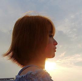 丰岛花