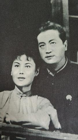 白杨