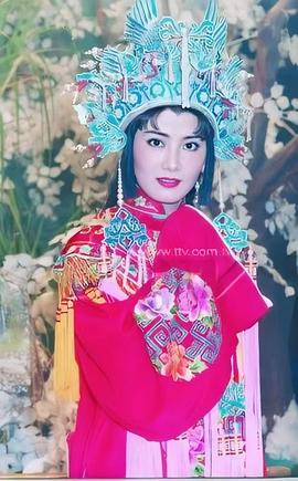 杨丽菁