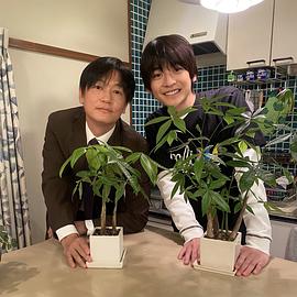 井浦新