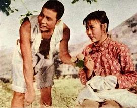 田华