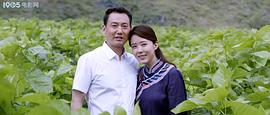 王志刚