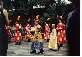 皱缇格