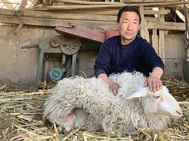 武仁林