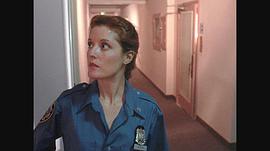 乔·安德森