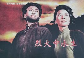 赵丹