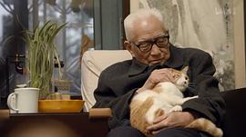 饶平如