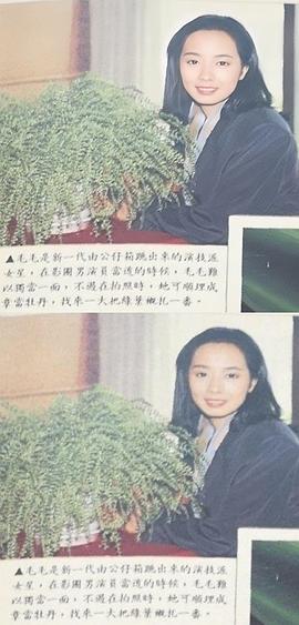 毛舜筠