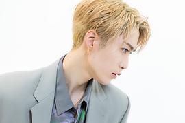 藤原树