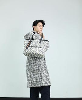 卡斯德特·普洛克坡尔
