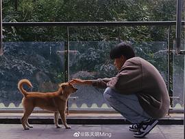 陈天明