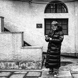 杜双宇